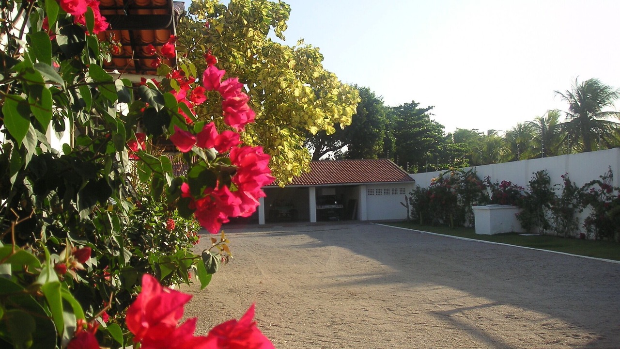 Photo of Outdoor in Pacheco