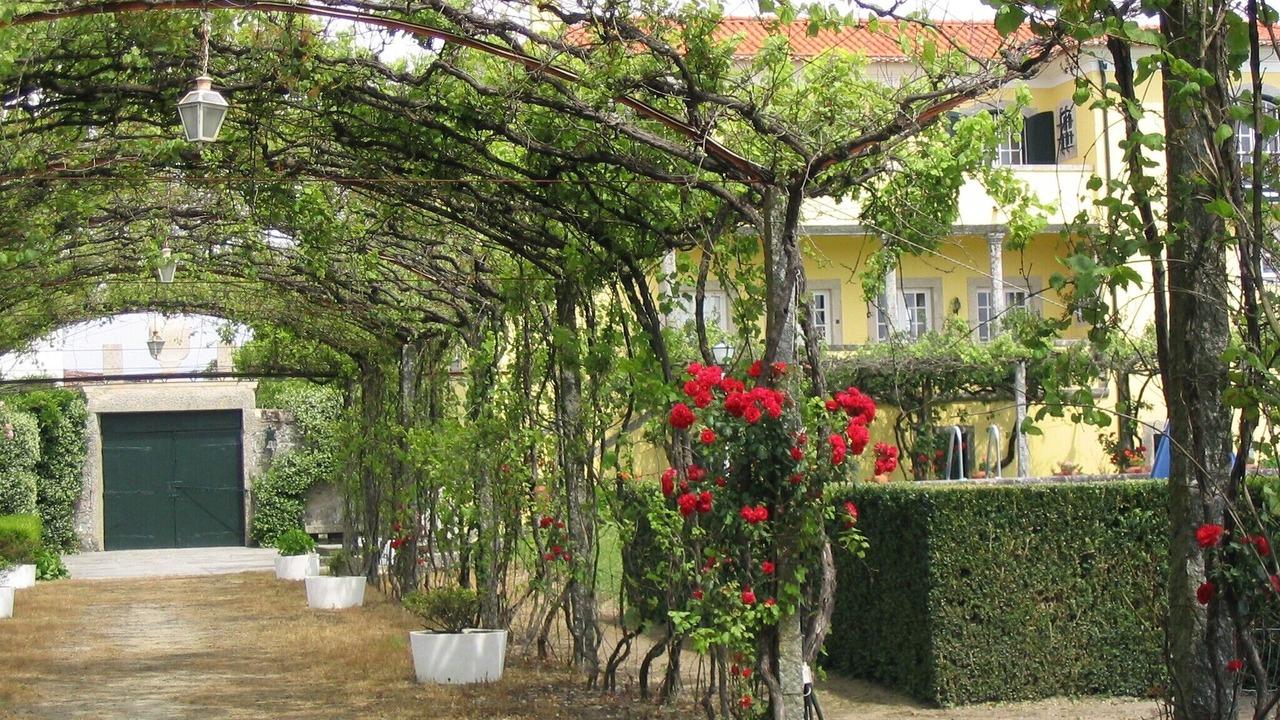 Photo of Outdoor in Cardielos