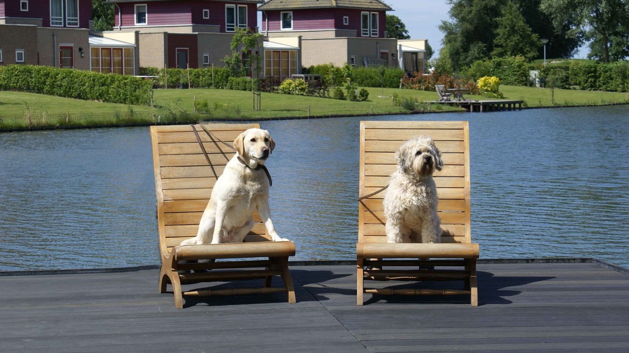 Photo of Outdoor in Hoofdplaat