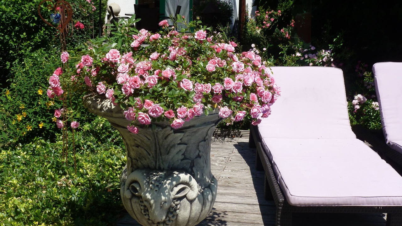 Photo of Patio Balcony in Varvolgy