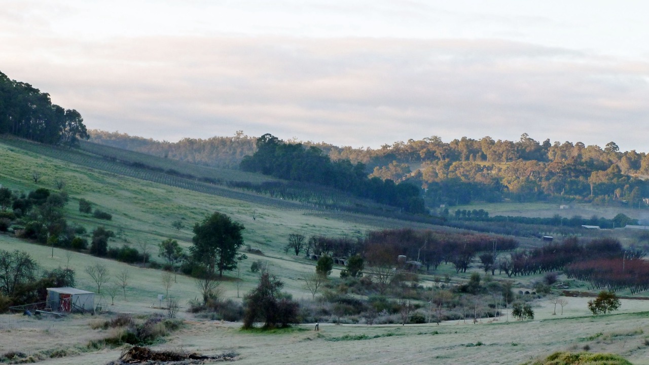 Photo of Others in Bickley