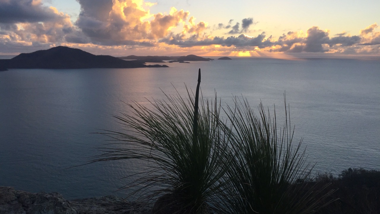 Photo of Others in Hamilton Island