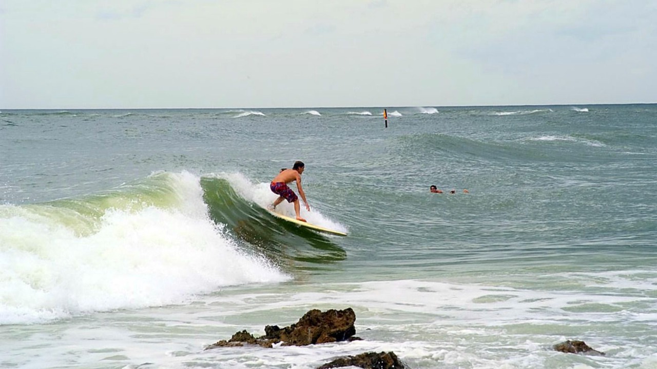 Photo of Others in Sarasota