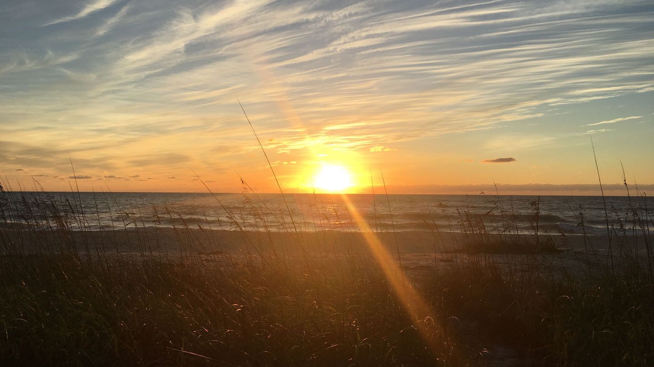 Photo of Others in Sarasota