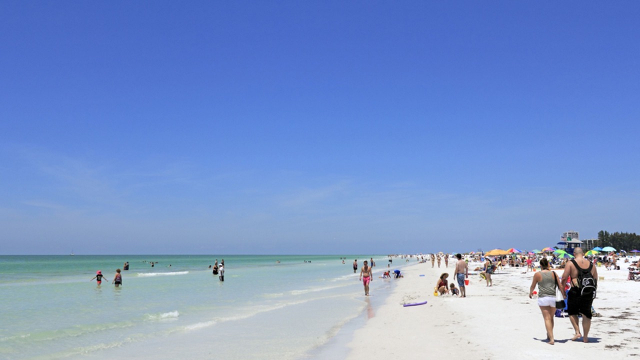 Photo of Others in Sarasota