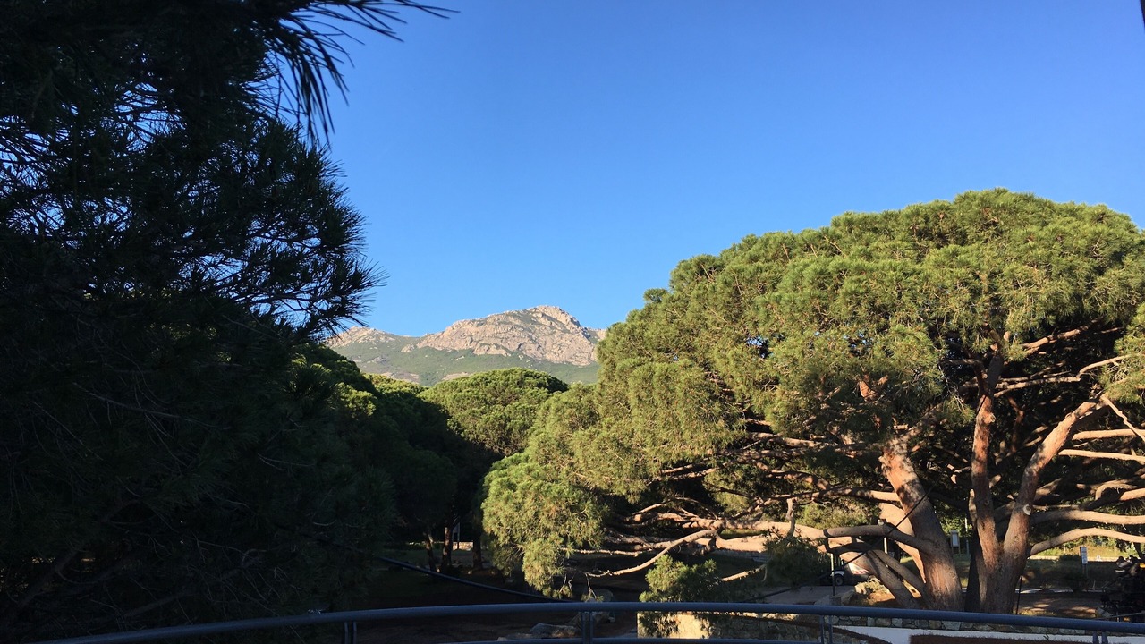 Photo of Others in Calvi