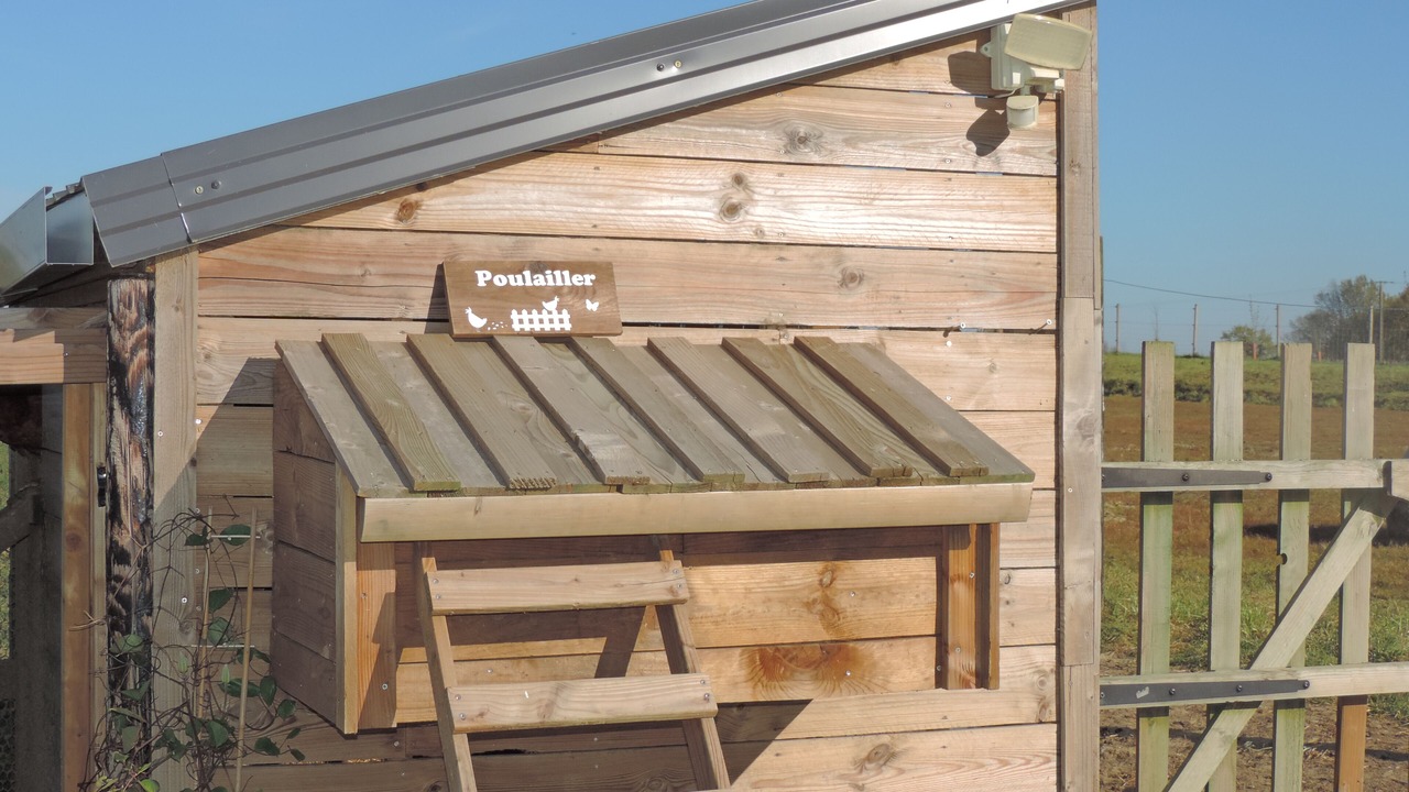 Photo of Outdoor in Saint-Fulgent