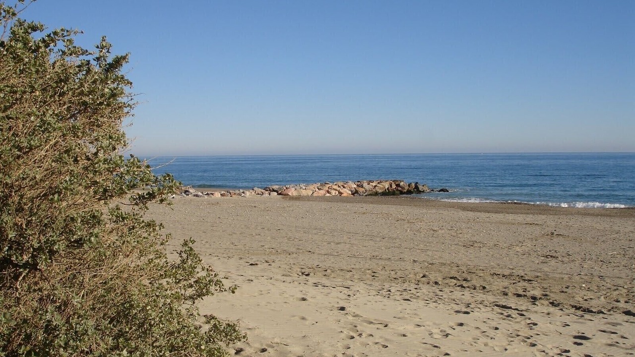 Photo of Others in Saint-Cyprien Plage