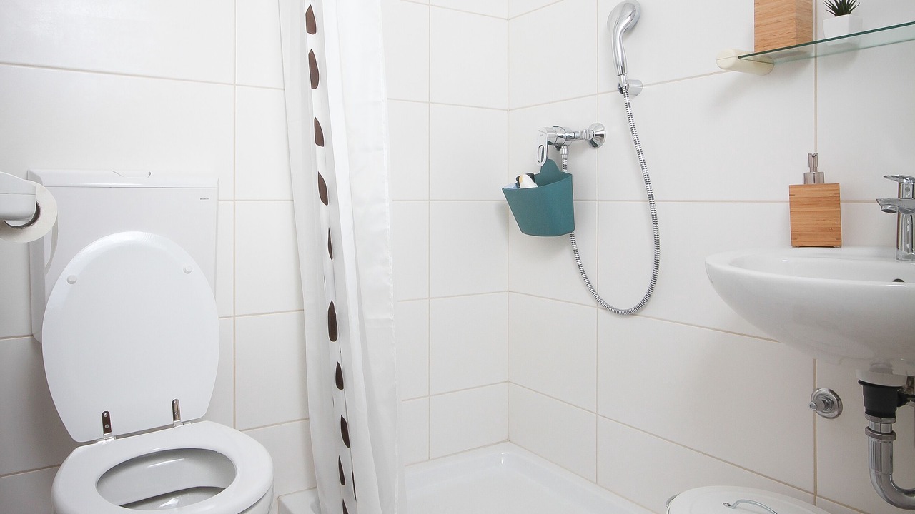 Photo of Bathroom in Bled