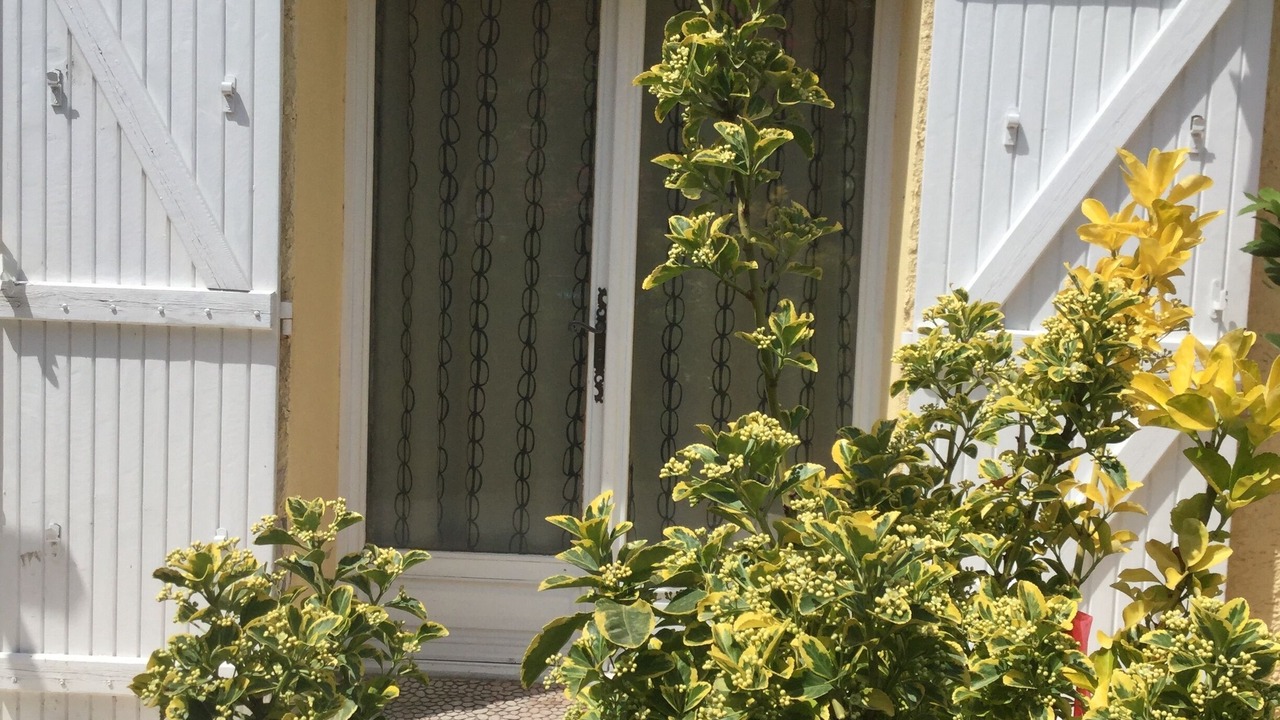 Photo of Outdoor in Saint-Julien