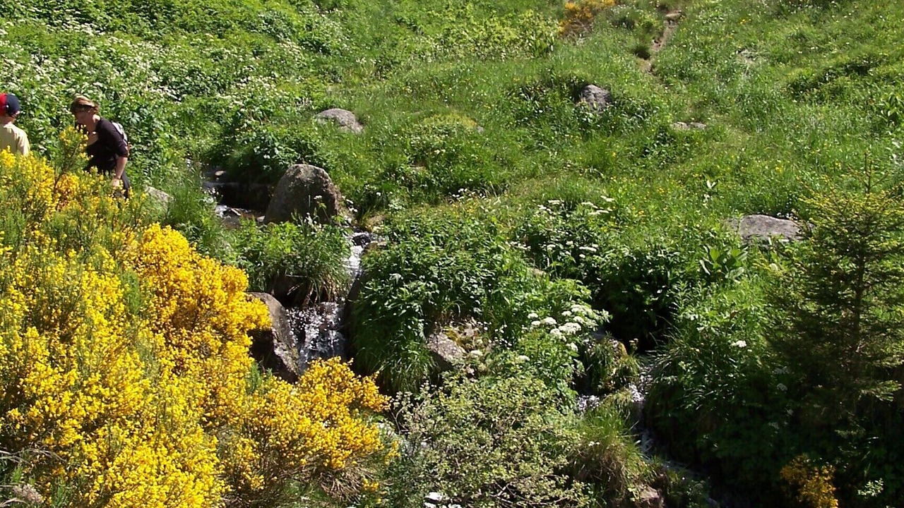 Photo of Outdoor in Les Estables