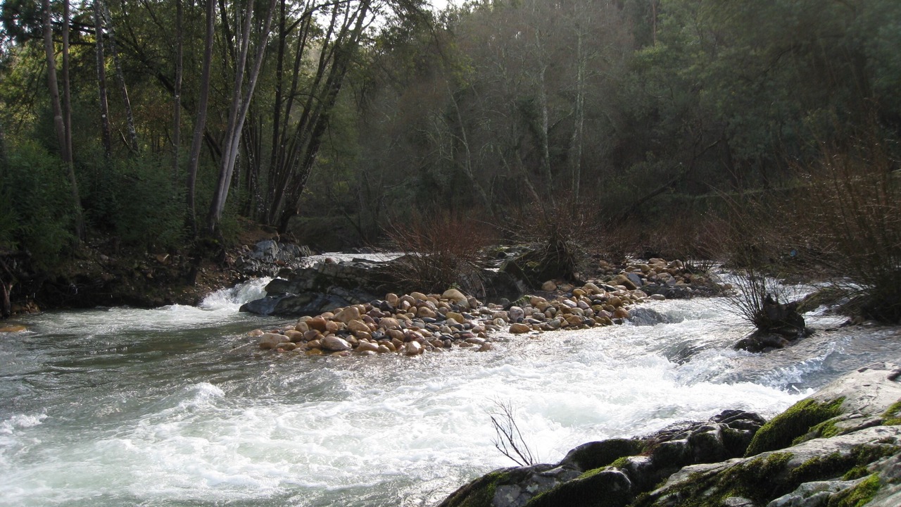 Photo of Others in Miranda do Corvo