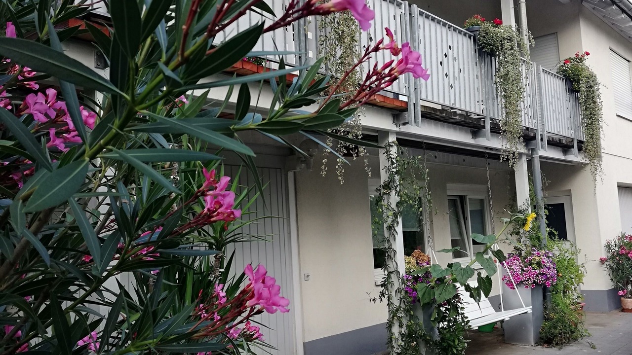 Photo of Outdoor in Igelswies