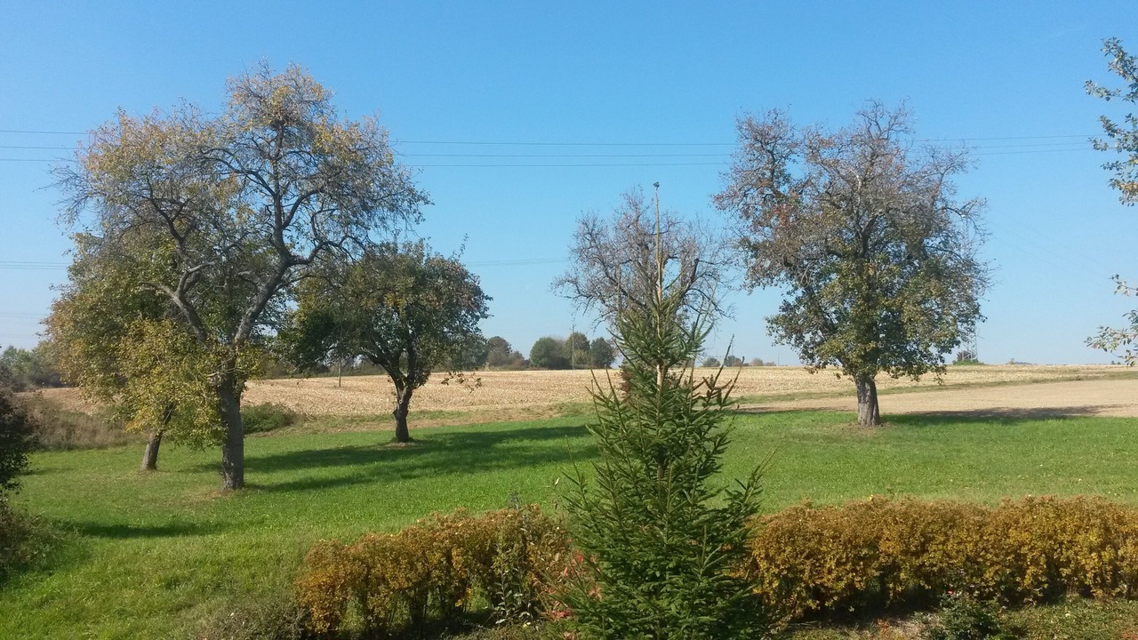 Photo of Others in Igelswies