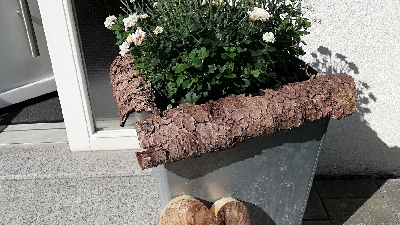 Photo of Outdoor in Igelswies