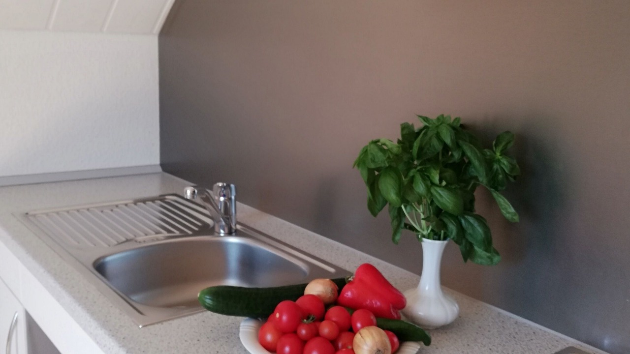 Photo of Kitchen in Igelswies