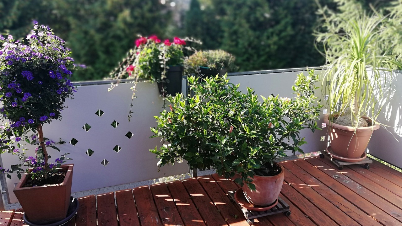 Photo of Patio Balcony in Igelswies