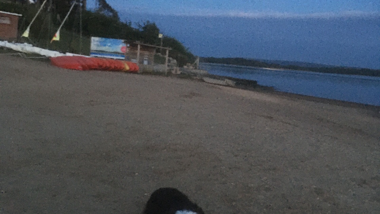 Photo of Others in Hamworthy