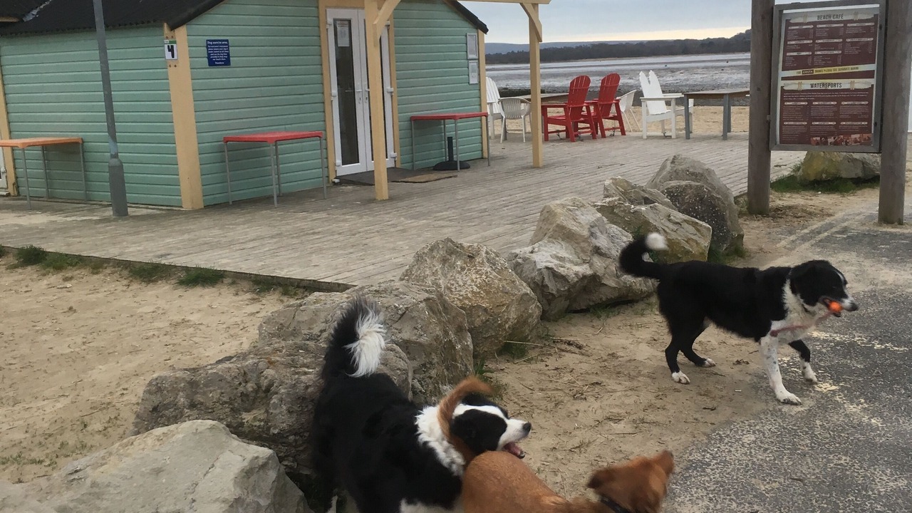 Photo of Others in Hamworthy
