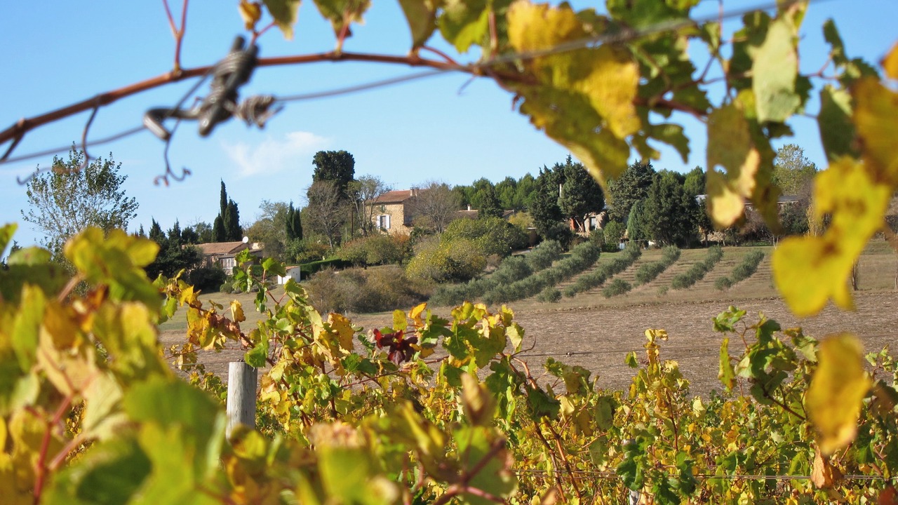 Photo of Outdoor in Raissac-sur-Lampy