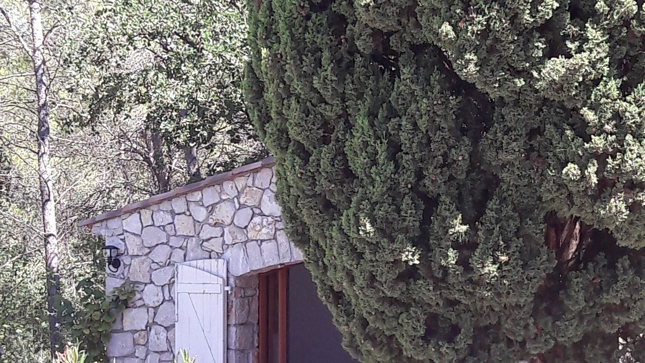 Photo of Outdoor in Lorgues