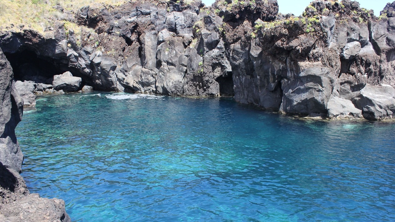 Photo of Others in Pico