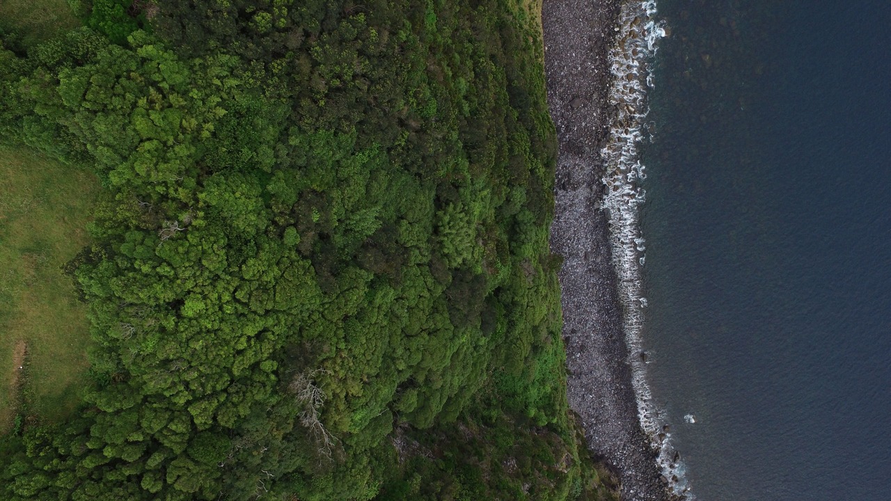 Photo of Outdoor in Pico