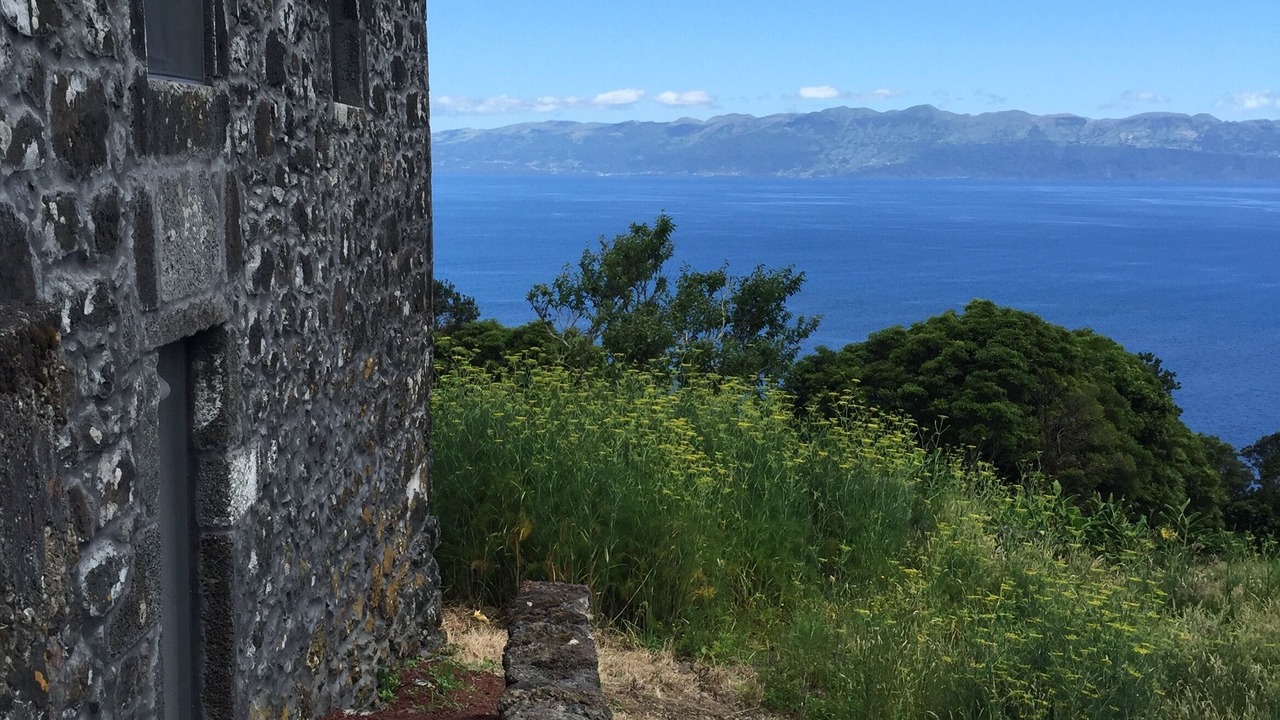 Photo of Others in Pico