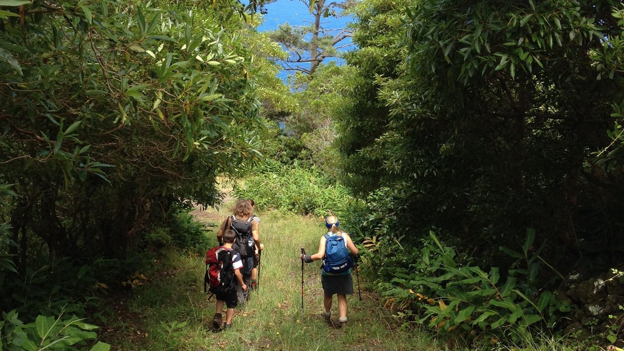 Photo of Outdoor in Pico