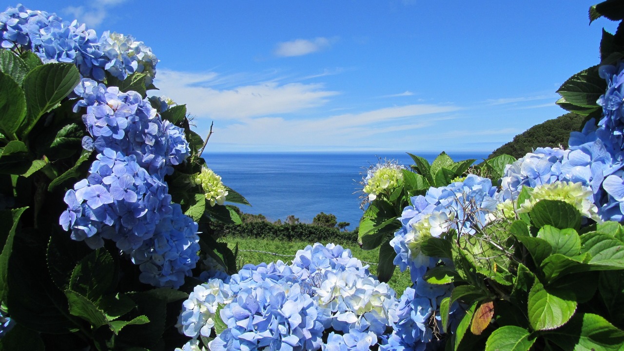 Photo of Outdoor in Pico