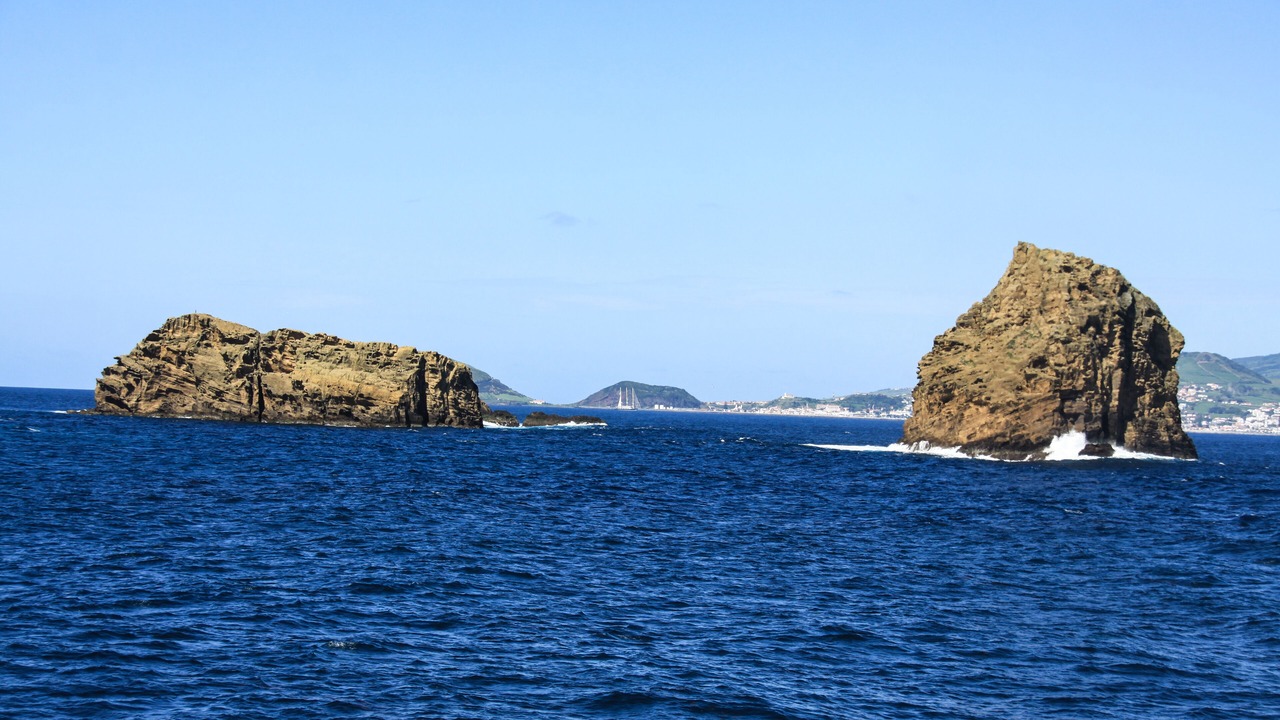 Photo of Others in Sao Roque do Pico