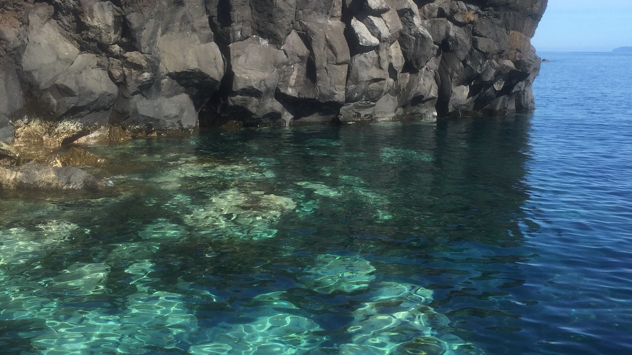 Photo of Others in Sao Roque do Pico