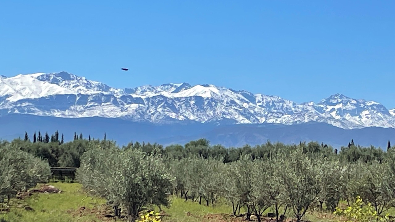 Photo of Outdoor in Sidi Abdallah Ghiat