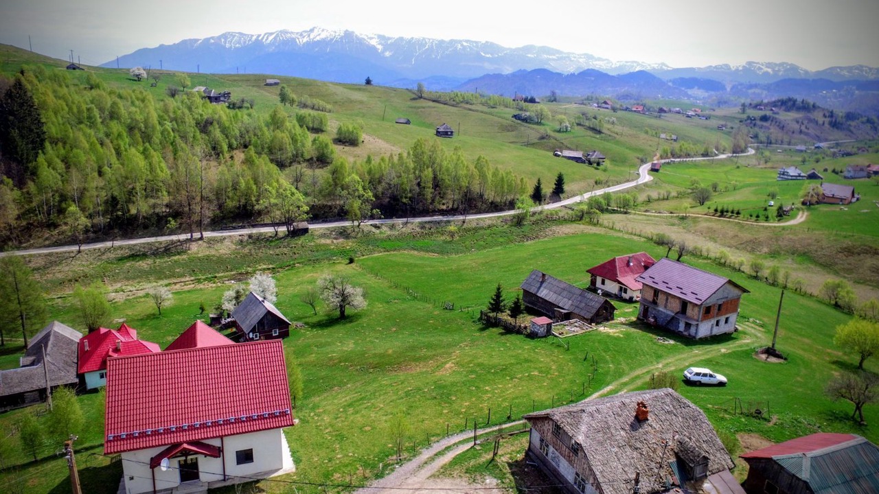 Photo of Outdoor in Sirnea