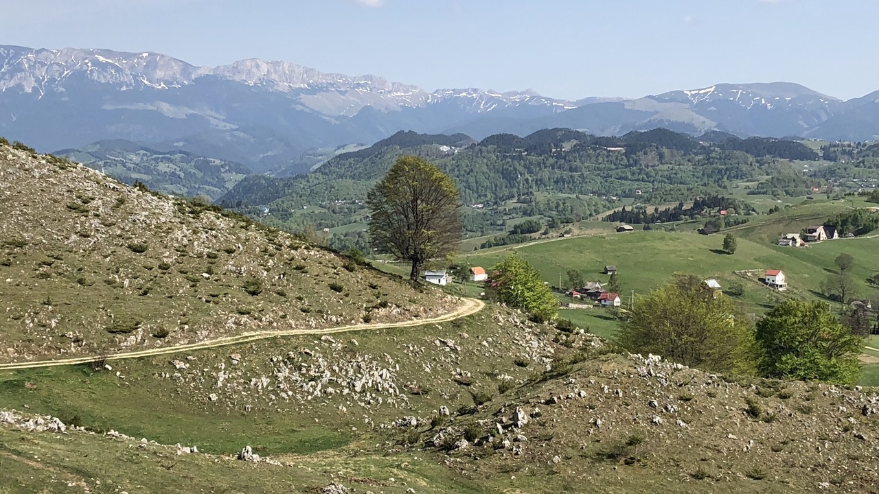 Photo of Outdoor in Sirnea