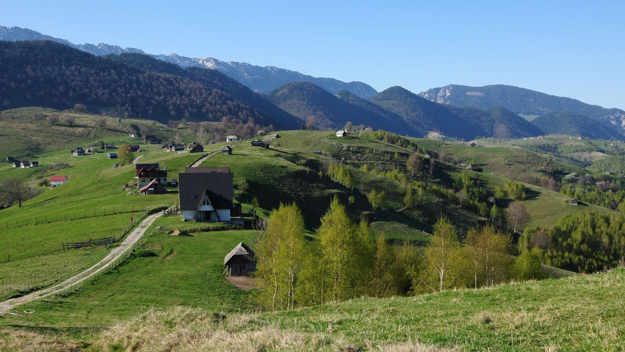 Photo of Outdoor in Sirnea