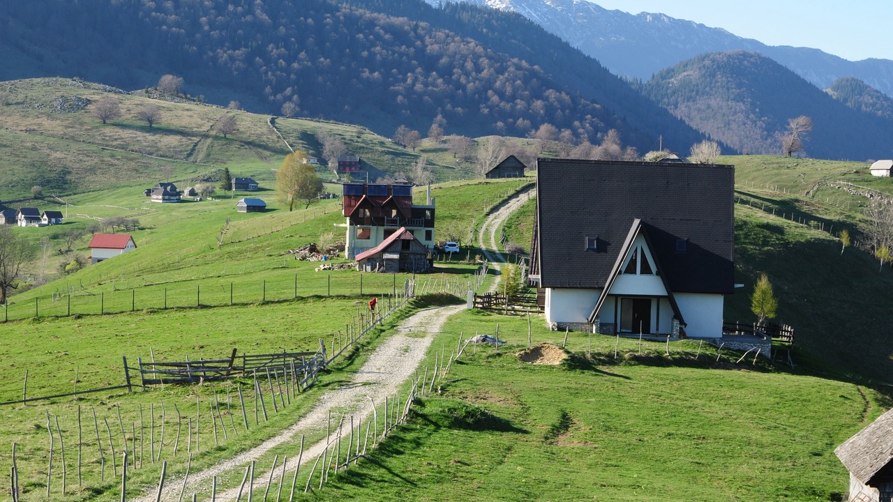 Photo of Outdoor in Sirnea