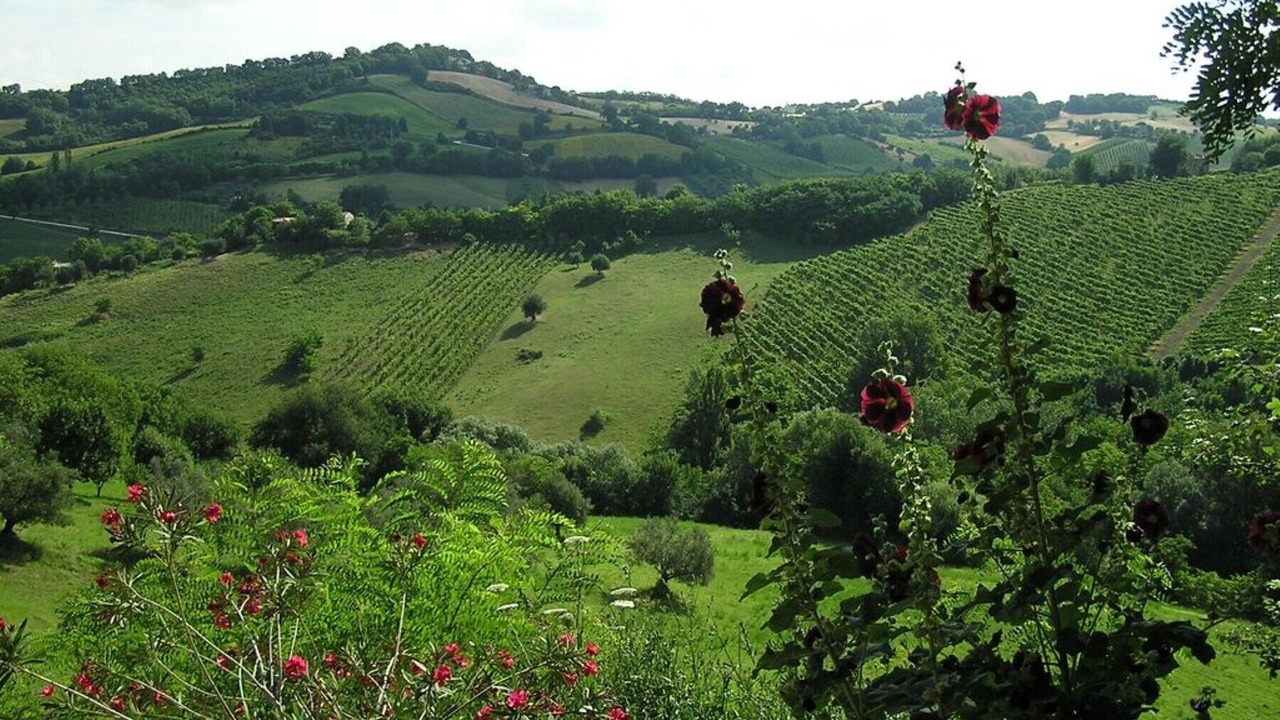 Photo of Outdoor in Cupramontana