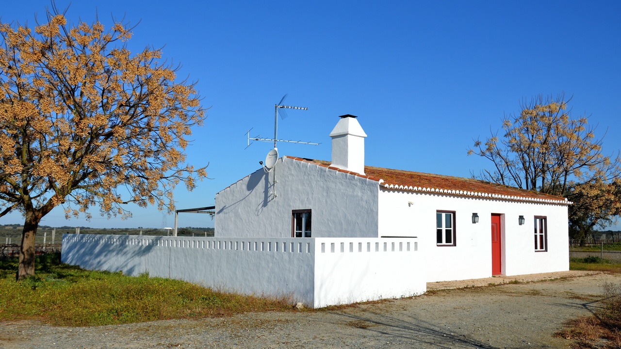 Photo of Outdoor in Alter do Chao