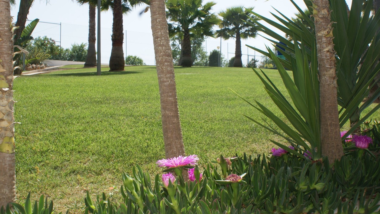 Photo of Outdoor in Guia