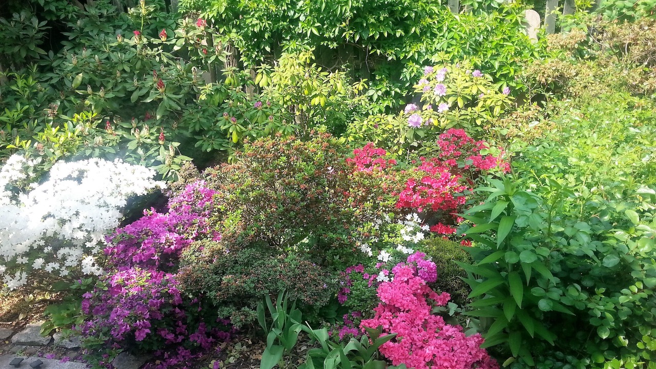 Photo of Outdoor in Sobotka