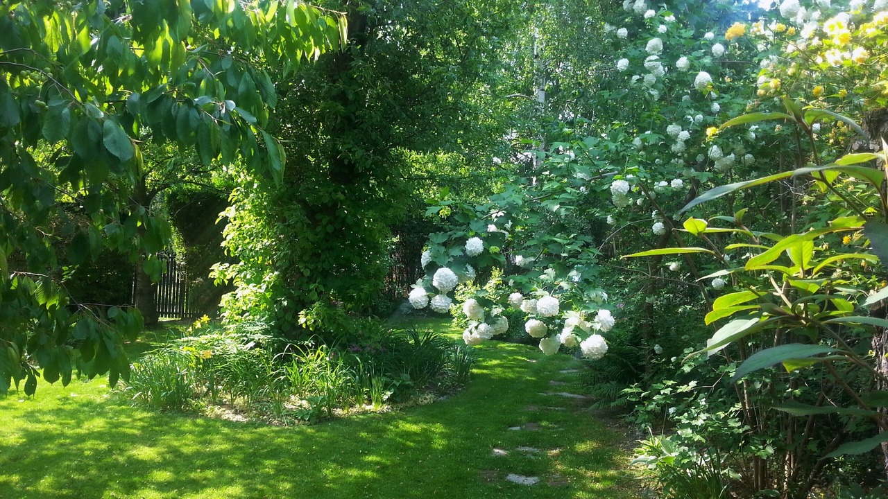 Photo of Outdoor in Sobotka