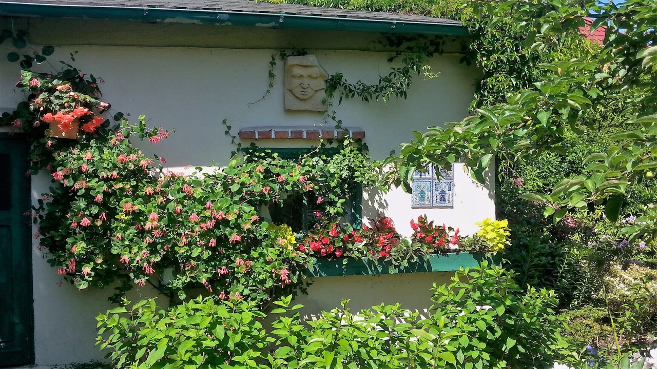Photo of Outdoor in Sobotka