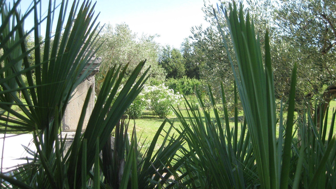 Photo of Outdoor in Caumont-sur-Durance