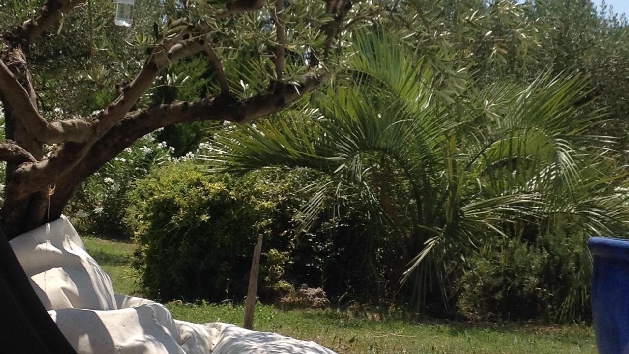 Photo of Outdoor in Caumont-sur-Durance