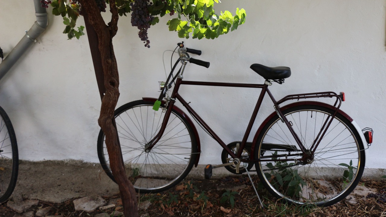 Photo of Outdoor in Vaiamonte