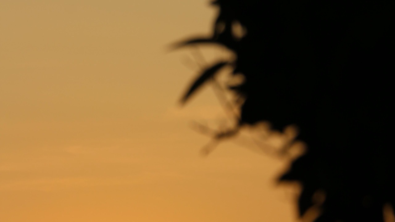 Photo of Outdoor in Vaiamonte