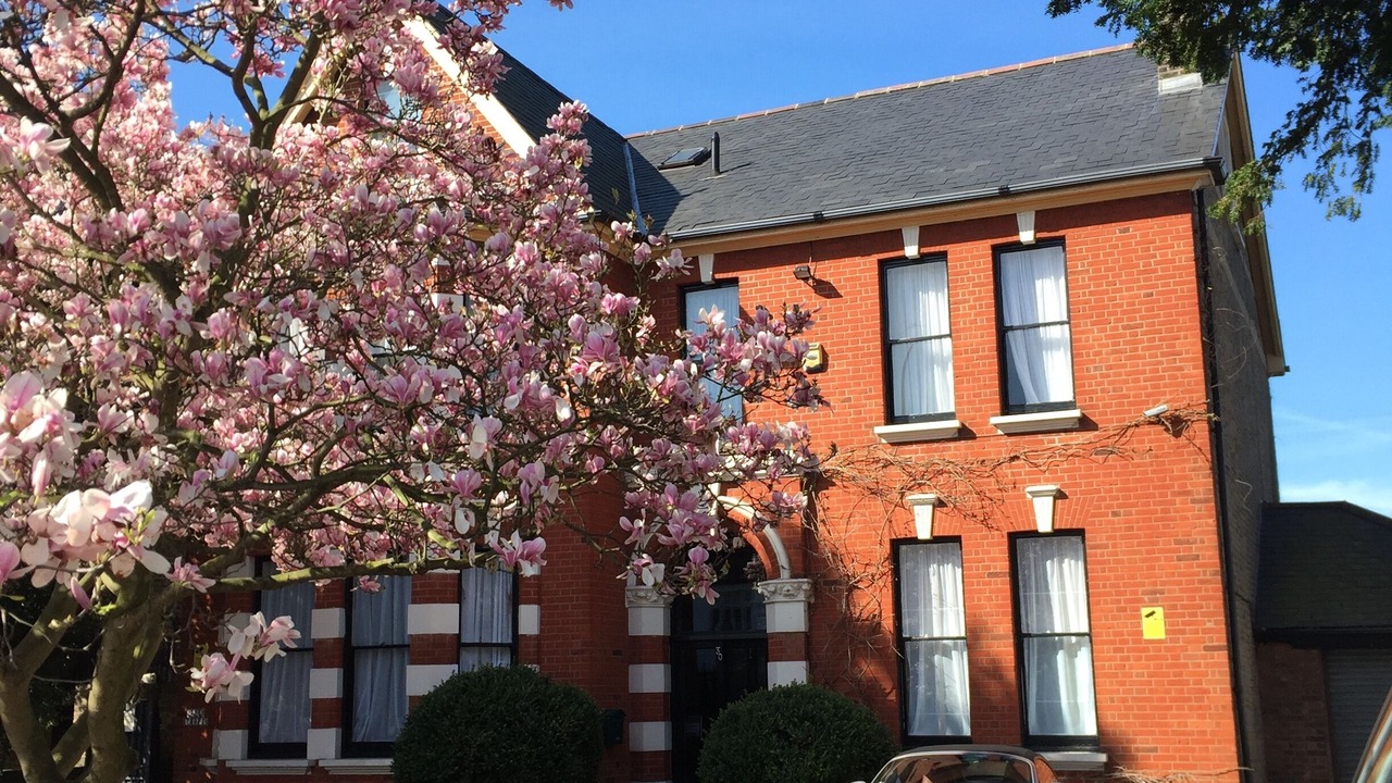 Photo of Outdoor in Catford