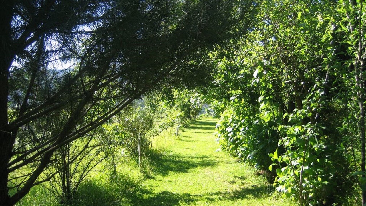 Photo of Outdoor in Cossourado