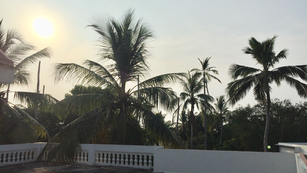 Photo of Others in Thiruvananthapuram